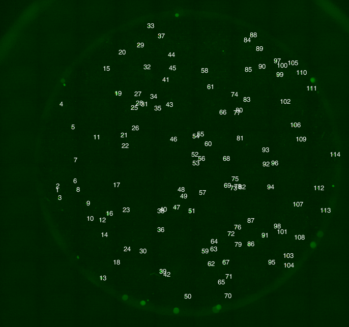 _images/Final_segmented_islands.png